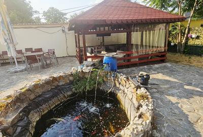 Casă + Afacere + Relaxare = Investiția Perfectă, in Cioranii de Jos - 38