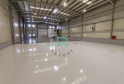 Hala industriala, 828 mp, Parc Industrial Prejmer. - 10