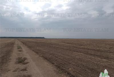 Oferim spre vanzare 6 loturi de teren extravilan (agricol) in Petrachioaia ILFOV - 11