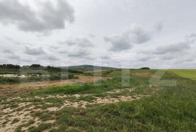 Teren intravilan in Cheriu foarte aproape de inelul metropol - 7