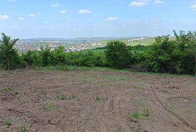 Teren de vânzare, 1079 m2(2parcele), Visan, jud.Iasi.Proprietar! - 2