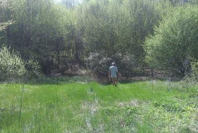 Spațiu comercial, în Nădăștia - 1