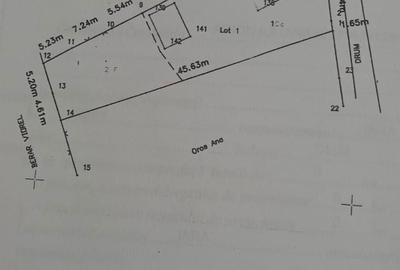 Casă cu 3 camere în Agriș - 4