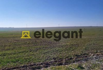 Teren 1.500 mp, deschidere 15 ml, Carcea in apropiere de VEROTHERM VILLAS - 2