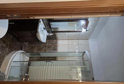 Apartament cu 2 camere semidecomandat în Pajura - 4