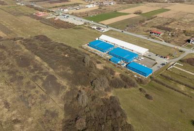 Teren agricol extravilan de 7194 mp, în Păltiniș - 15