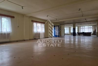 Spatiu comercial 600 mp zona Parneava - 4