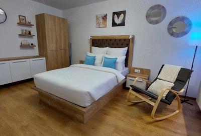 Garsonieră decomandată în Astra - 8