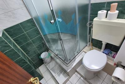 Apartament 3 Camere Unirii Zepter Piata Alba Iulia Apartament 3 Camere Unirii Zepter Piata Alba Iulia - 9