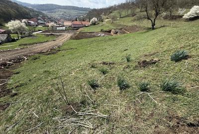 Spațiu comercial, în Central - 2