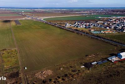 Teren de 72000 mp, în Nord - 2