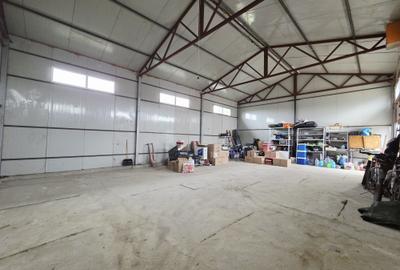 Spațiu industrial, în Mihail Kogălniceanu - 4