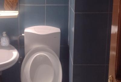 Apartament cu 2 camere decomandat, mobilat în Abator - 10