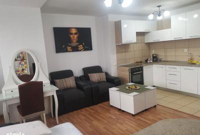 Garsonieră în Craiovei - 9