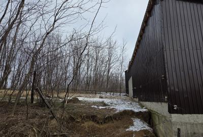 Spațiu comercial, în Teișani - 10