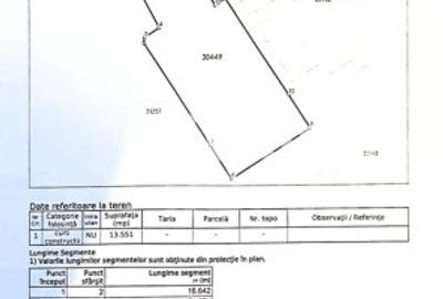 Teren intravilan 13.551 MP | Vadu Lat | Oportunitate de investitie | - 1