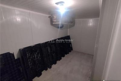 Moldova Noua, Proprietate cu Destinatie Multipla: Hala Productie Procesare a Carnii, Teren Intravila - 4