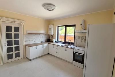 Casă cu Teren 350 Mp în Valea Lupului