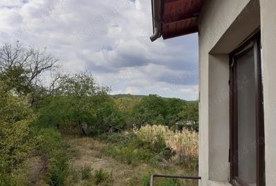 Casa 500mp construit - 3