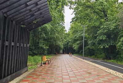 Teren de 22500 mp, în Păulești - 5