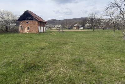 Spațiu comercial, în Vlădești - 4