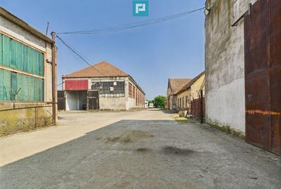 Complex industrial cu hale ?i teren in Or?i?oara - 3