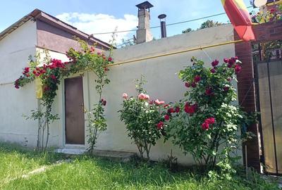 Casă cu 1 camere în Central - 1