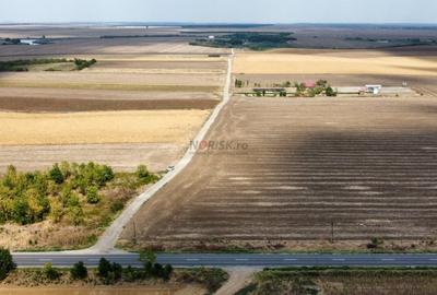 Frumusani - Hobby Arena - teren intravilan cu PUZ aprobat