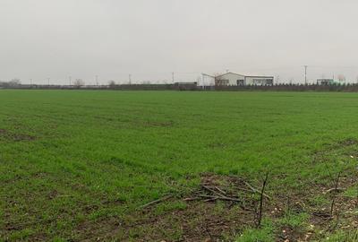 Teren Construcții intravilan de 30000 mp, în Ștefăneștii de Jos - 9