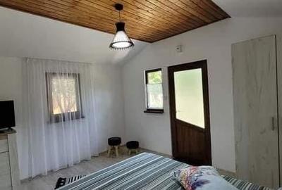 Casă cu 3 camere cu Teren 2700 Mp în Victoria - 5