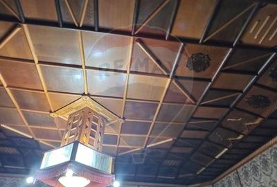 OCAZIE!! Vila cu 6 camere de vânzare în zona Ultracentral - 43