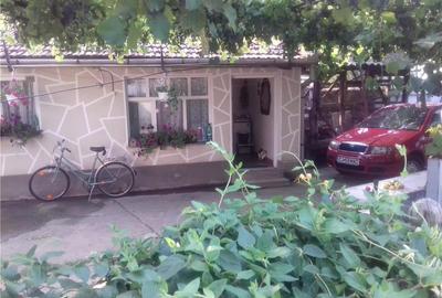 Casă cu 3 camere în Dobra - 10