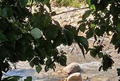 Spațiu comercial, în Sebeș - 2