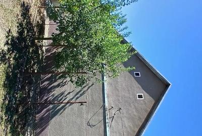 Casă cu 3 camere cu Teren 2877 Mp în Iosif - 5