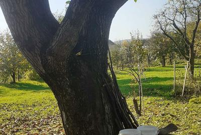 Casă cu 3 camere în Exterior Vest - 4