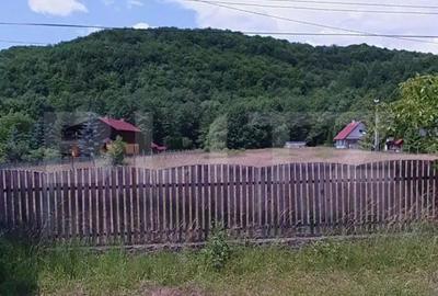 Teren în Eremitu