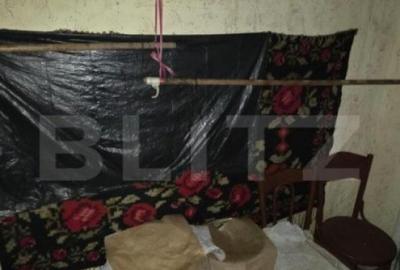 Casa saseasca de vanzare, Livezile - 11