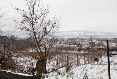 Teren de 1490 mp, în Secuia - 3