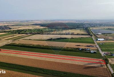 Spațiu comercial, în Petrești - 3