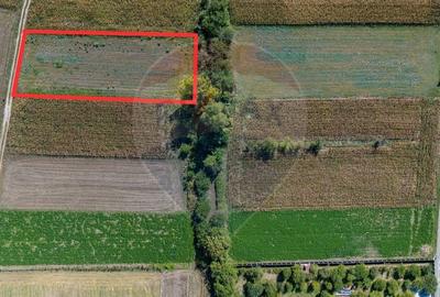 Teren agricol intravilan de 2242 mp, în Stupini - 2