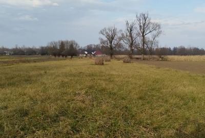 Casă cu 4 camere în Costișa - 4