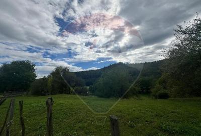 O oportunitate unica in inima naturii -- 6.605 mp in Candesti - 5