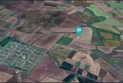 Teren agricol 3200 mp in Caporal Alexa - 2