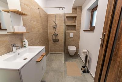 Apartament cu 2 camere decomandat, mobilat în Jiului - 13