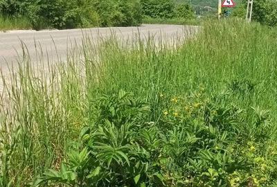 Teren de 1200 mp, în Humulești - 2