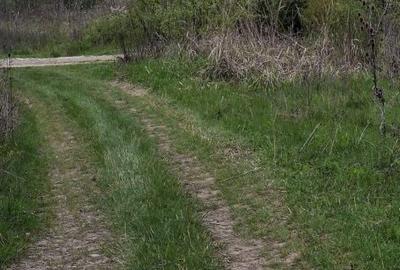 Teren de 3500 mp, în Vișan - 3