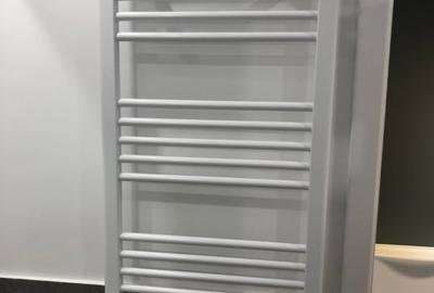 Vanzare apartament de 2 camere Unirii- Parcul Carol - 11