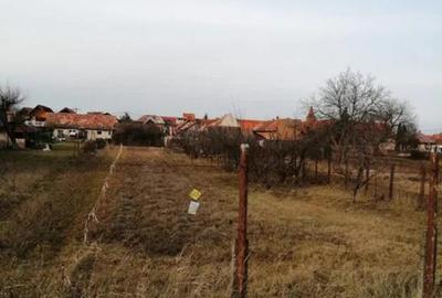 Teren 934 mp Ghimbav - 2