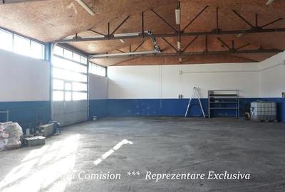 HALA + BIROURI, PARCARE GENEROASA - 5