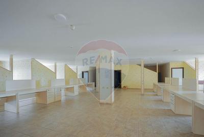 Hala, magazin ?i birouri de Inchiriat, Zona Metro, Su=... - 17